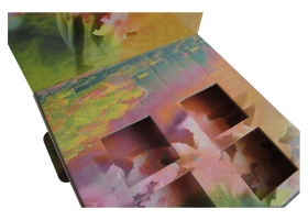 Special Cardboard Constructions